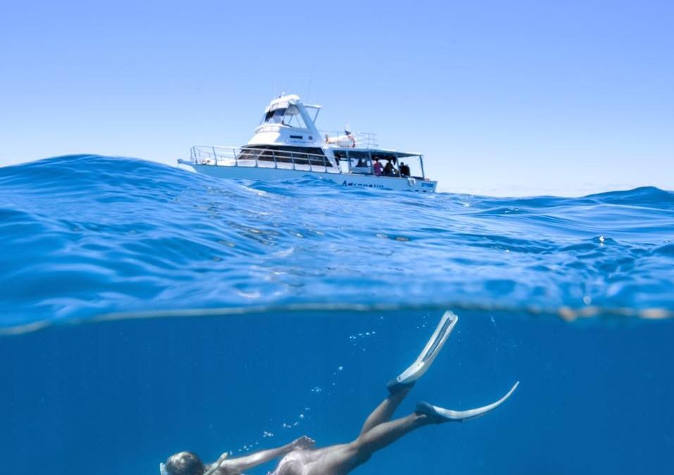 Adrenalin Snorkel & Dive