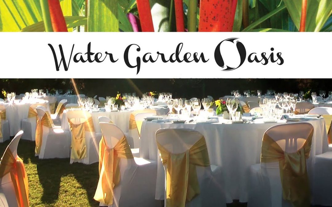 Water Garden Oasis