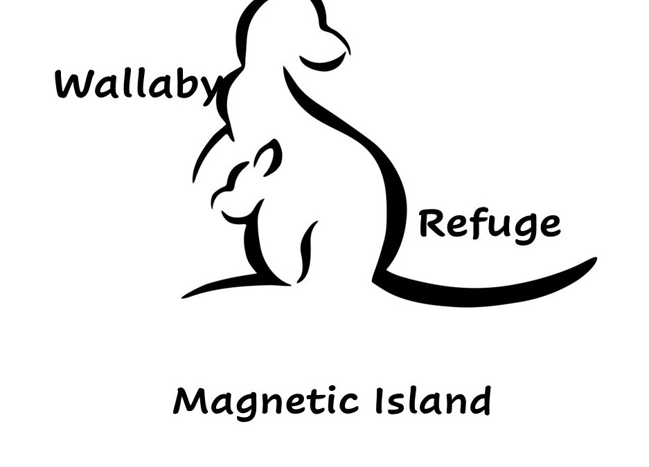 Wallaby Refuge on Magnetic Island