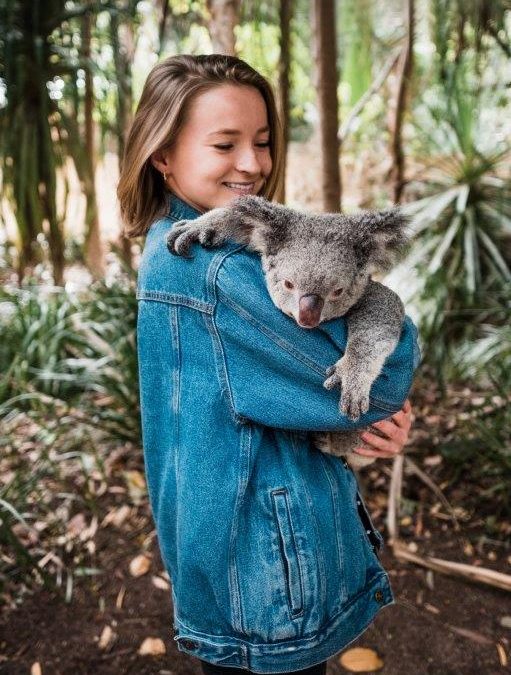 Come and see the Magnetic Island koalas!