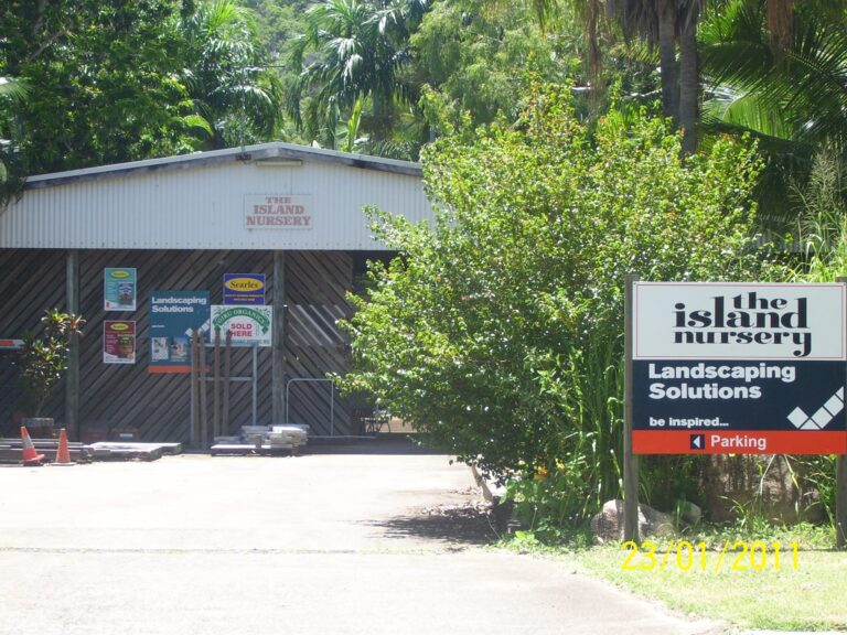 the island nursery 768x576