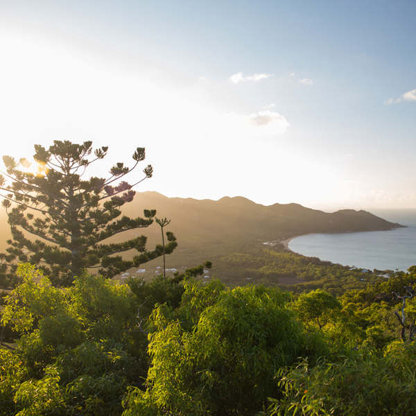 Spring time on Magnetic Island