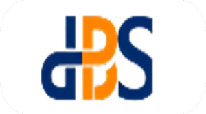 DBS Dubai Business Services 3bf9 300x167