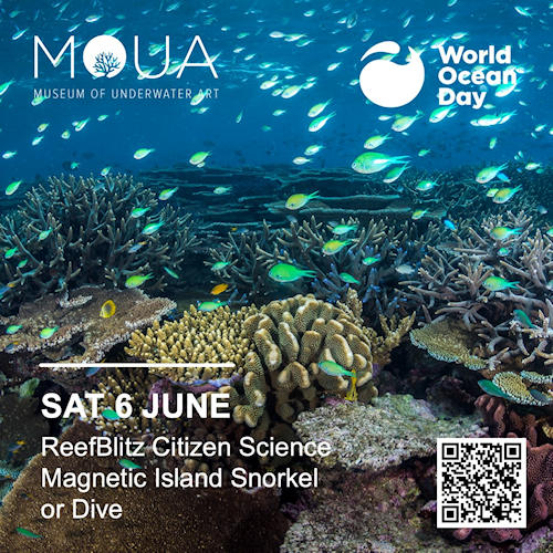 ReefBlitz Join Reef Ecologic at Magnetic Island